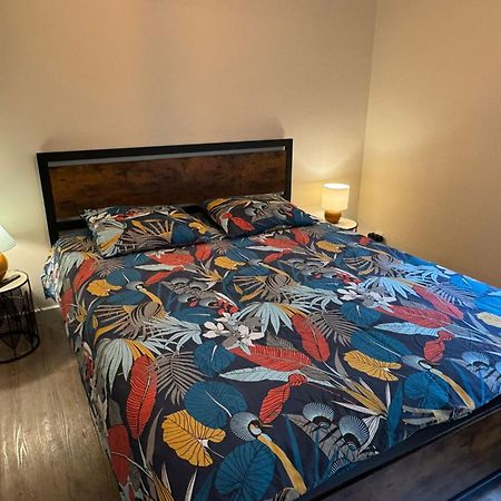 Residence Bois Du Bouchet, Appartement Vue Montagne, Calme, Parking Gratuit, Proche Centre Chamonix ภายนอก รูปภาพ