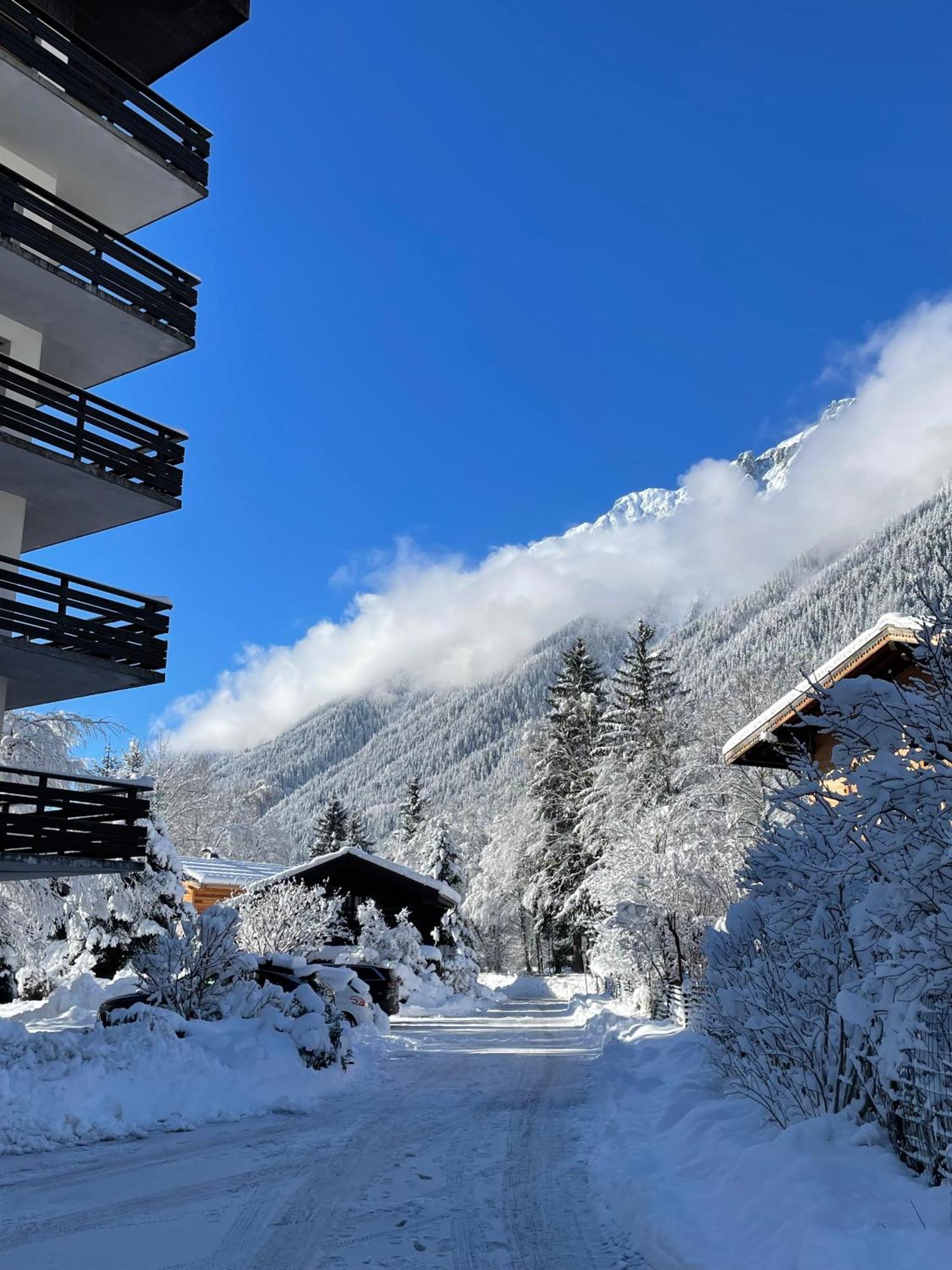 Residence Bois Du Bouchet, Appartement Vue Montagne, Calme, Parking Gratuit, Proche Centre Chamonix ภายนอก รูปภาพ