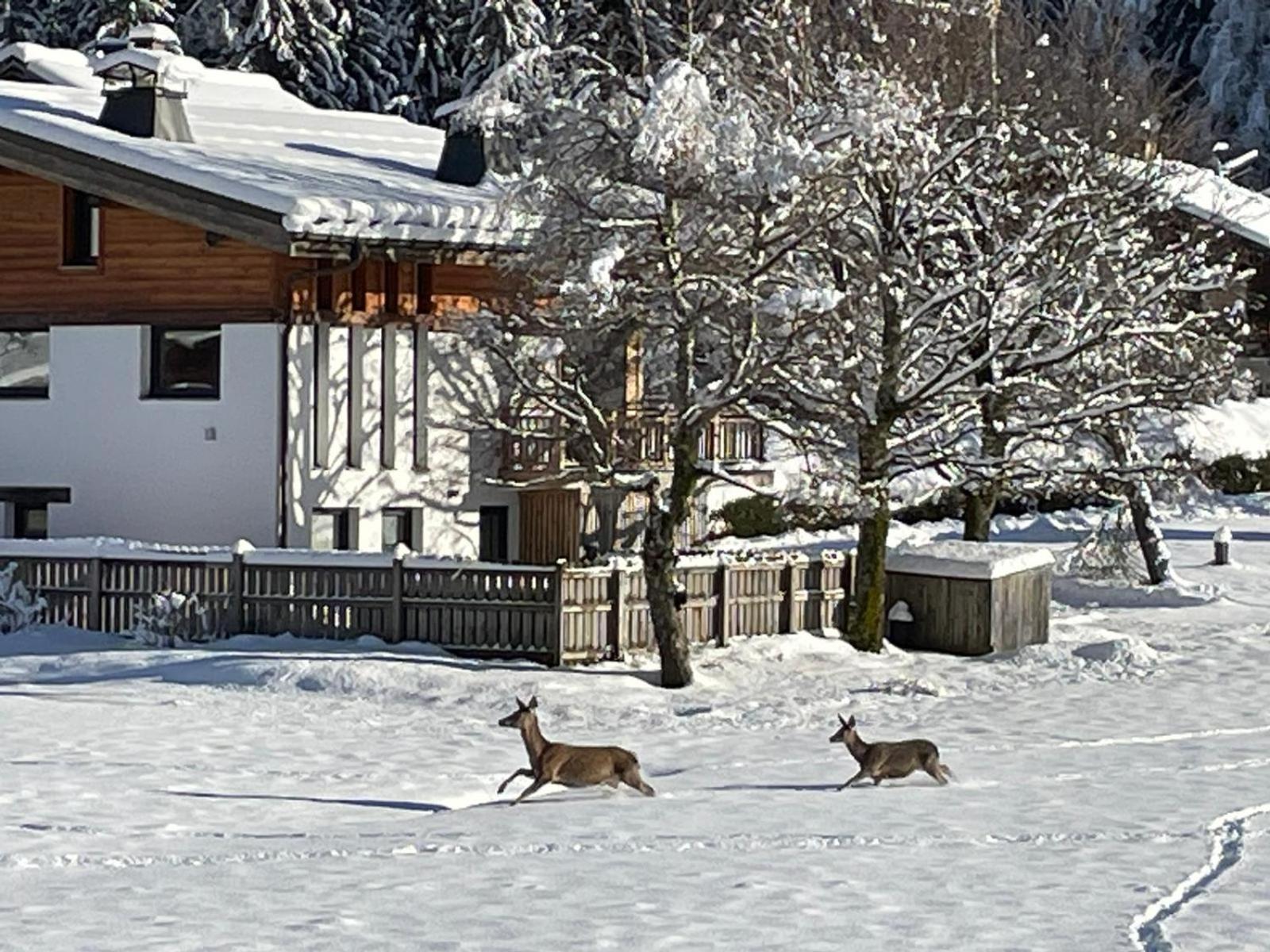 Residence Bois Du Bouchet, Appartement Vue Montagne, Calme, Parking Gratuit, Proche Centre Chamonix ภายนอก รูปภาพ