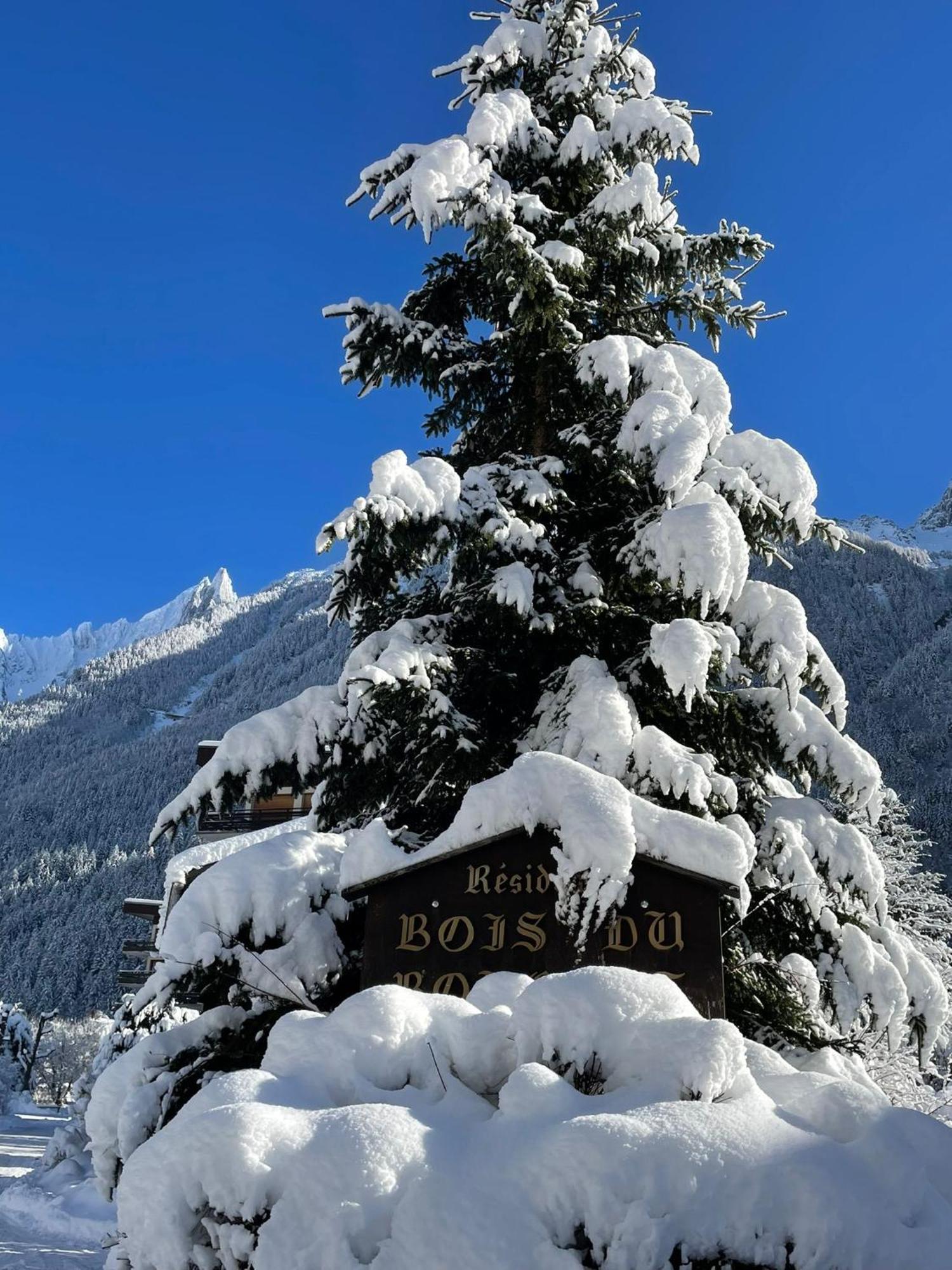 Residence Bois Du Bouchet, Appartement Vue Montagne, Calme, Parking Gratuit, Proche Centre Chamonix ภายนอก รูปภาพ
